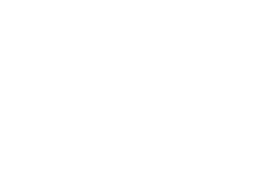 Ecom Global Systems